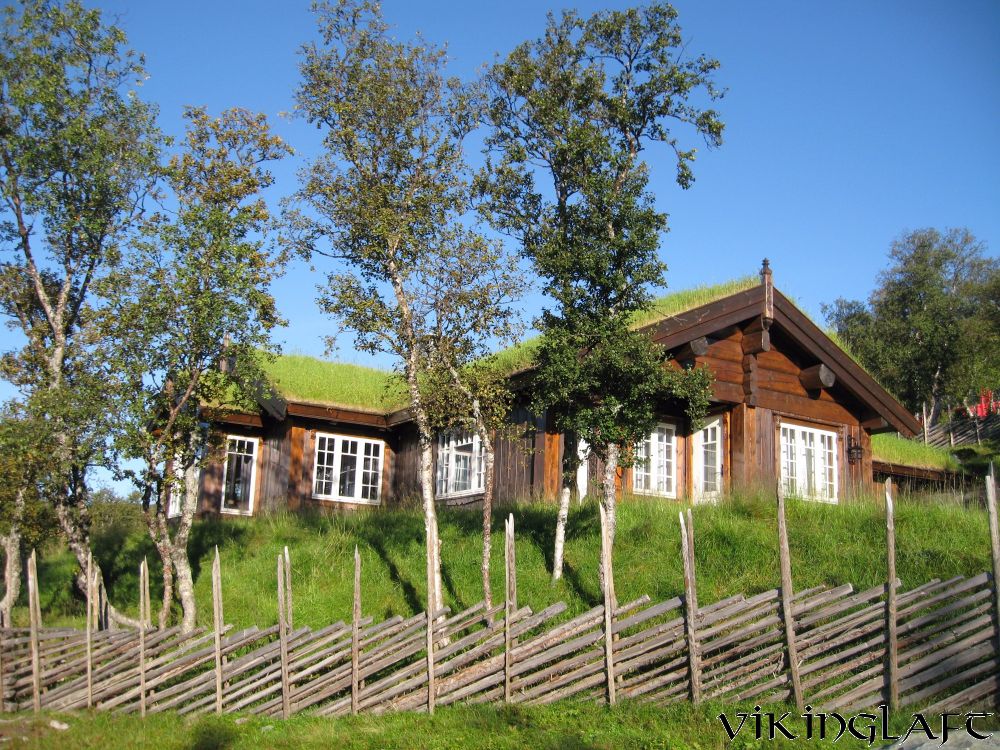 Laftehytter i fjellbjørkeskogen