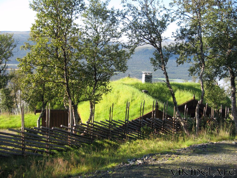 Laftehytter i fjellbjørkeskogen – bilde 2