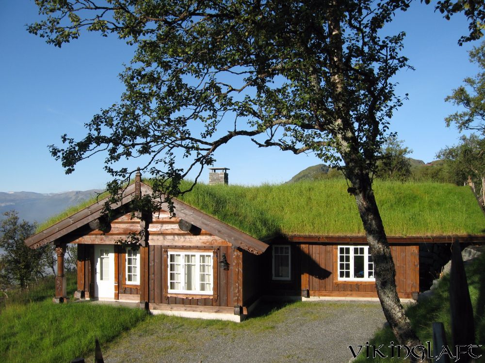 Laftehytter i fjellbjørkeskogen – bilde 3